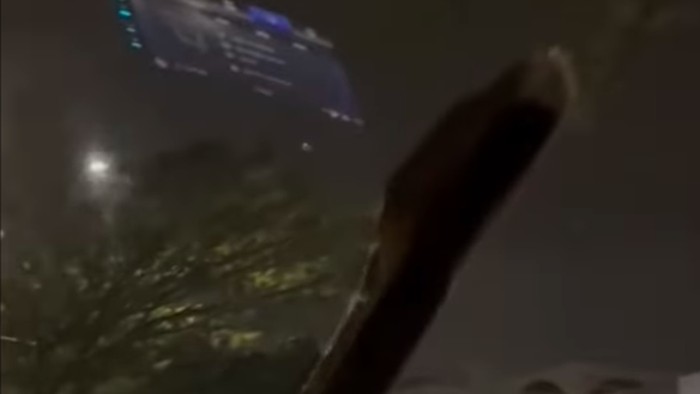 Sebuah video ular merayap di atas kap hingga jendela mobil saat melaju viral di medsos. Ular tersebut terus merayap saat mobil tersebut terus melaju. (dok Pribadi)