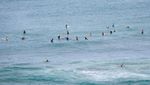 Wisatawan Kembali Padati Pantai di Hawaii Usai Peringatan Tsunami Berakhir