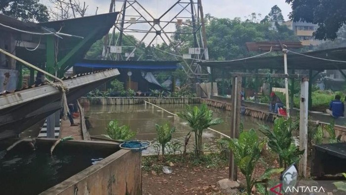 Gubuk liar di Taman Pemakaman Umum (TPU) Kebon Nanas, Cipinang Besar Selatan, Jatinegara, Jakarta Timur, Selasa (29/7/2025). (ANTARA/Siti Nurhaliza)