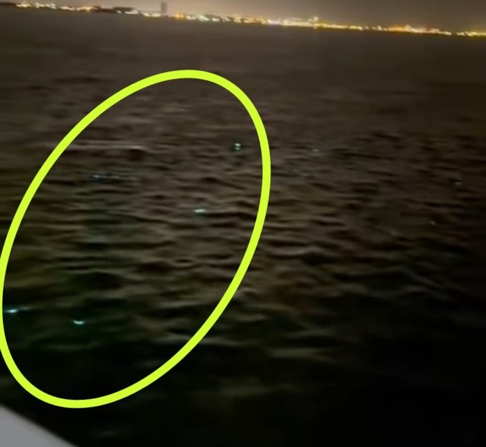 Viral kilauan cahaya di laut bawah Jembatan Suramadu