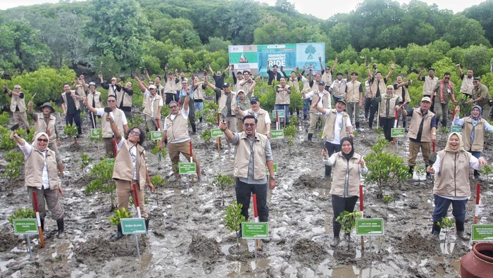 Wakil menteri kehutanan RI Sulaiman Umar Siddiq memulai rangkaian Mangrove Fest 2025 di hutan Purwo Banyuwangi