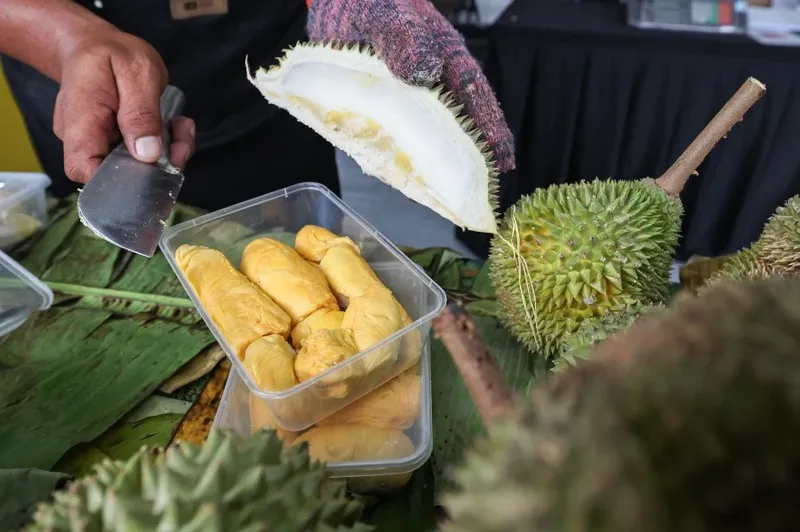 Heboh Bocah Ditangkap usai Diduga Curi Durian, Netizen Bilang Begini