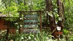 Hutan Lindung Tacugama Terancam oleh Bangunan Ilegal