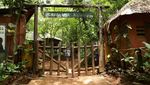 Hutan Lindung Tacugama Terancam oleh Bangunan Ilegal