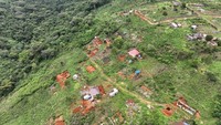 Dari udara tampak jelas batas hutan yang terus terdesak oleh deretan bangunan liar di Freetown. REUTERS/Hickmatu Leigh