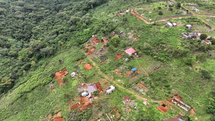 Hutan Lindung Tacugama Terancam oleh Bangunan Ilegal Bangunan ilegal makin menjamur di kawasan lindung Tacugama, Sierra Leone. Habitat satwa terancam, konservasi hutan makin sulit dijaga.