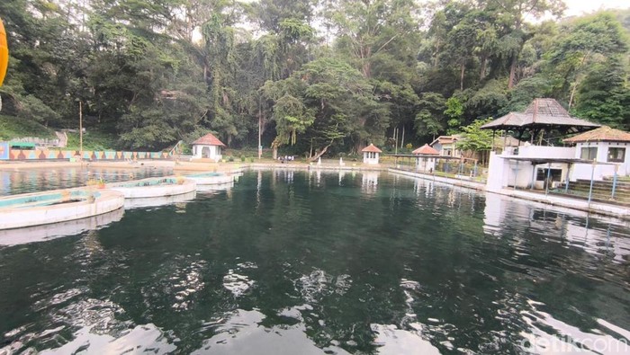 Ikan Dewa Cigugur Kuningan. Ikan Dewa Cigugur Kuningan.