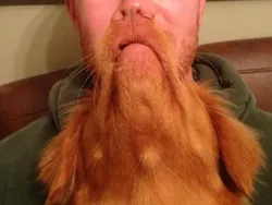 Ilusi Foto yang Bikin Bingung, Harus Tengok Dua Kali