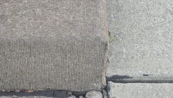 Batunya kayak tikus. Foto: sock_le_c**/Reddit  