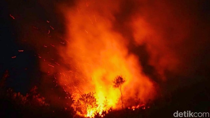 Kebakaran lahan di Tarakan.