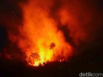 26 Hektare Lahan di Tarakan Terbakar dalam Sepekan, BPBD Ungkap Penyebab
