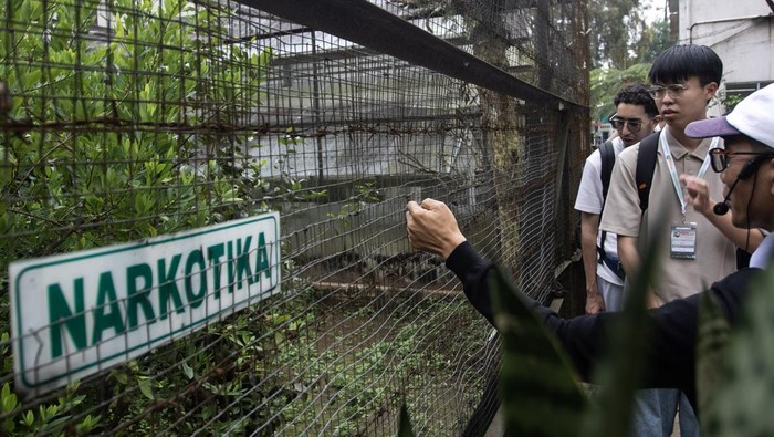 Mahasiswa Fakultas Farmasi Universitas Gajah Mada (UGM) Yogyakarta mengamati tanaman obat yang diawetkan saat mengikuti edukasi wisata di Etalase Tanaman Obat UPF Pelayanan Kesehatan Tradisonal Tawangmangu RSUP Dr. Sardjito, Tawangmagu, Kabupaten Karanganyar, Jawa Tengah, Kamis (31/7/2025). Eduwisata berkonsep Hortusmed Tour tersebut untuk mengenalkan berbagai koleksi tanaman obat, proses pengolahan pascapanen dan
pelayanan kesehatan modern dengan memanfaatkan obat tradisional di Hortus Medicus. ANTARAFOTO/Maulana Surya/rwa.
