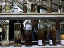 Mengenal Obat Tradisional Lewat Eduwisata Tanaman Herbal di Karanganyar