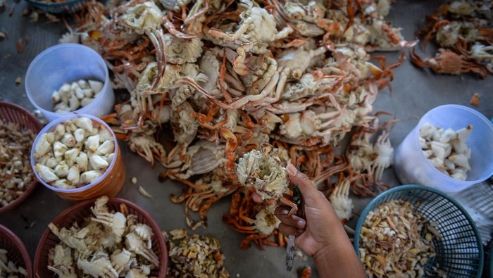 Pekerja memisahkan daging rajungan dari cangkangnya di Desa Surya Bahari, Pakuhaji, Kabupaten Tangerang, Banten, Jumat (1/8/2025). Kementerian Kelautan dan Perikanan mencatat nilai ekspor produk perikanan pada kuartal I 2025 mencapai 1,94 miliar dolar AS atau meningkat 6,5 persen dibanding kuartal yang sama pada tahun sebelumnya senilai 1,82 miliar dolar AS. ANTARA FOTO/Putra M. Akbar/agr