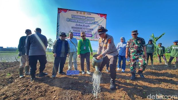Penanaman Jagung di lahan tidur Kabupaten Bandung.