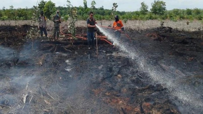 Petugas memadamkan karhutla di Muara Enim