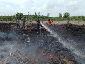 Karhutla di Muara Enim Sudah 7 Hari, BPBD: Masih Berasap