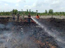 Karhutla di Muara Enim Sudah 7 Hari, BPBD: Masih Berasap