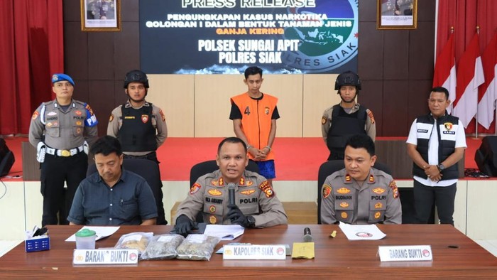 Polres Siak menangkap seorang pengedar dan menyita 2,2 kilogram ganja dalam operasi narkoba, Jumat (1/8/2025).
