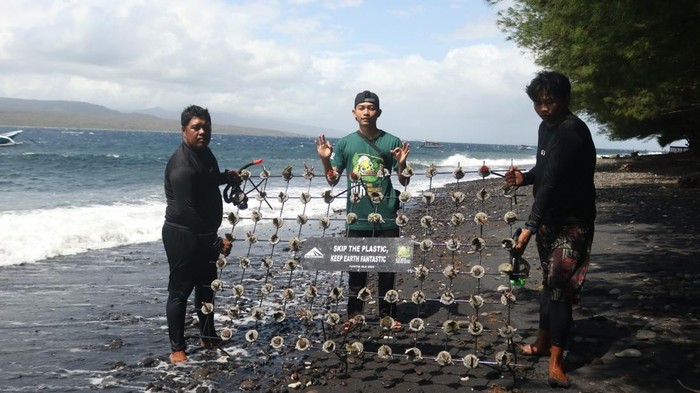 PT BSI tanam terumbu karang di pantai Banyuwangi