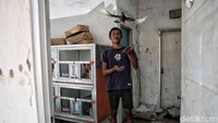 Seorang warg bermain burung merpati di dalam unit perumahan subsidi yang kosong kawasan Green New Residence Babelan. Green New Residence dan Villa Kencana seharusnya menjadi contoh bukti keberpihakan negara. Tapi kini, keduanya hanya menjadi monumen diam. Bagi mereka yang punya penghasilan lebih mungkin akan mampu renovasi. Tetapi jika mereka yang berpenghasilam rendah mereka tak bisa melakukan itu dan menunggu hingga rumahnya akan rusak dengan sendirinya.
