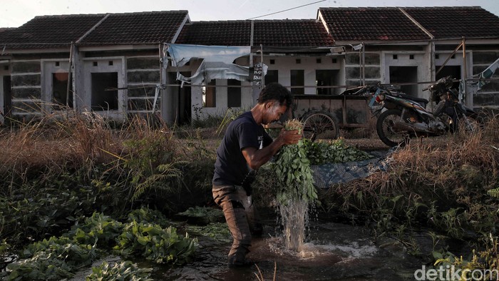 Di atas tanah-tanah yang dulu digadang-gadang sebagai “harapan baru” bagi rakyat kecil, kini hanya tersisa deretan rumah-rumah sunyi yang ditinggalkan. Perumahan subsidi Green New Residence Babelan dan Villa Kencana Cikarang yang dulunya dipasarkan sebagai solusi untuk rakyat berpenghasilan rendah, kini justru menjadi Kuburan bagi mimpi mimpi yang tak pernah sempat tumbuh
