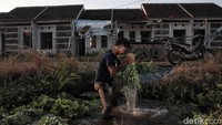 Seorang petani mencuci sayuran dengan latar belakang perumahan subsidi yang terbengkalai di Green New Residence Babelan.