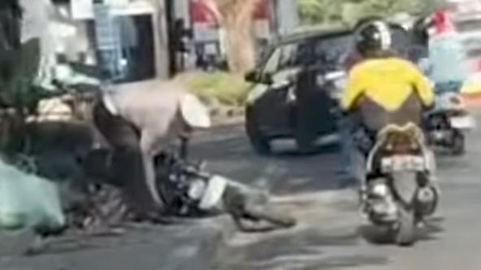 Tangkapan layar polisi mengamankan motor remaja yang lari terbirit-birit meninggal kendaraannya di trotoar jalanan Makassar.