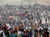 Keji, 1.373 Orang Dibunuh Saat Tunggu Bantuan di Gaza