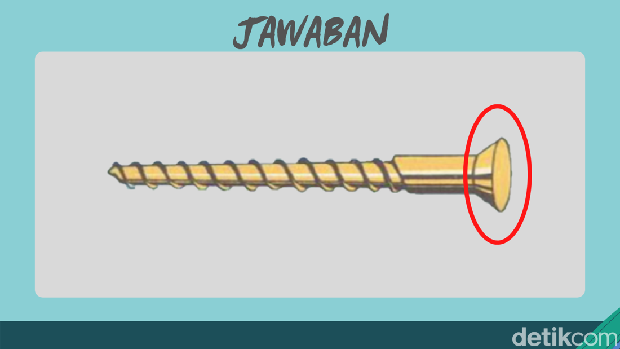 asah otak temukan kesalahan