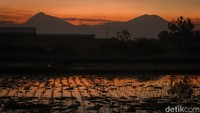 Saat musim kemarau tiba, langit cerah tanpa awan menjadi momen yang pas untuk menikmati pemandangan Gunung Merapi dan Gunung Merbabu dari kejauhan.