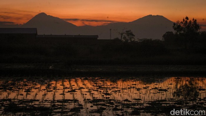 Senja kemarau menyingkap siluet megah Merapi dan Merbabu dari Klaten dan Solo, menghadirkan panorama langka yang memikat mata.