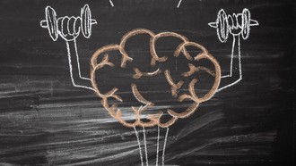 Gen Z Catat Nih! Ini Saran Dokter Bedah Saraf Agar Otak Nggak Cepat Menciut