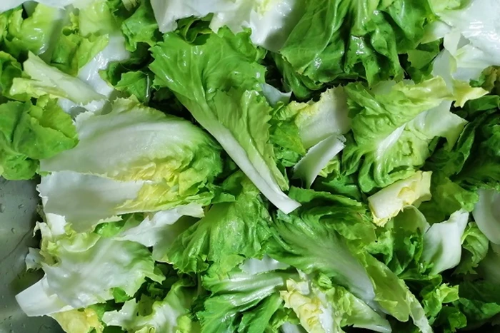 Jenis selada/lettuce Jenis selada/lettuce