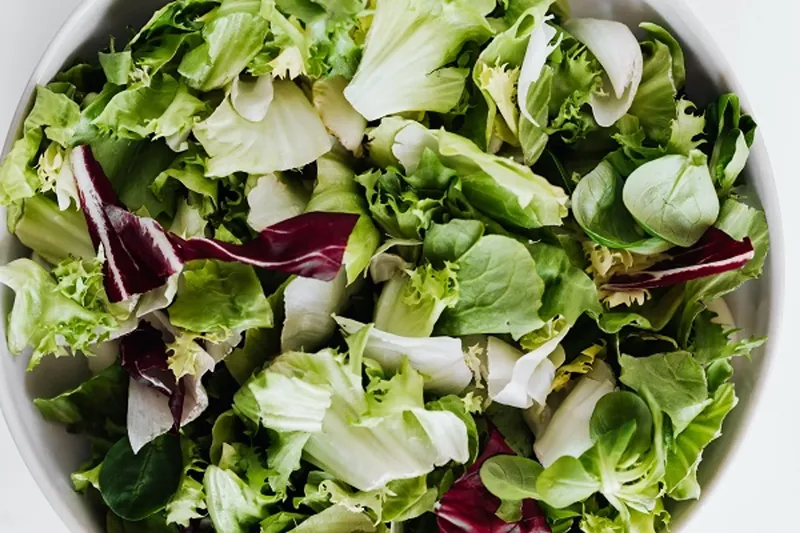 Jenis selada/lettuce