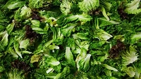 Escarole juga enak dijadikan isian salad. Daunnya keriting dengan rasa agak pahit. Dibanding selada pada umumnya, Escarole lebih tahan lama saat disimpan di kulkas.Foto: Hello Fresh