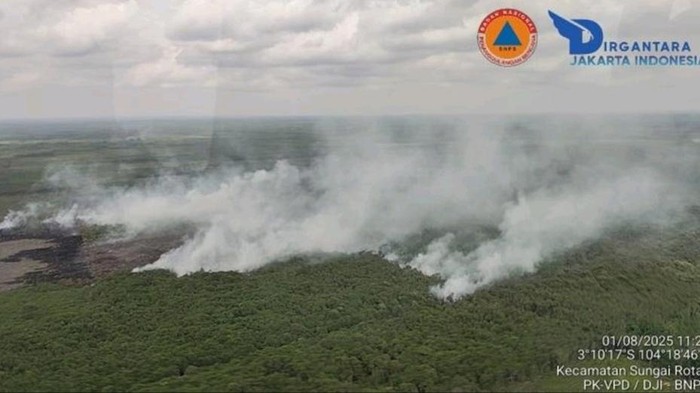 Kondisi lahan terbakar di Muara Enim