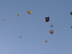 Para peserta Rare Angon Festival unjuk gigi dengan menerbangkan layang-layang celepuk (layangan bergambar burung hantu) di Pantai Mertasari, Jumat (1/8/2025). Di senar layang-layang itu ada nomor untuk memudahkan penilaian oleh panitia.