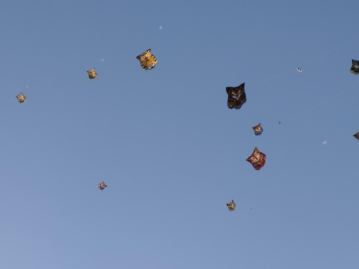 Para peserta Rare Angon Festival unjuk gigi dengan menerbangkan layang-layang celepuk (layangan bergambar burung hantu) di Pantai Mertasari, Jumat (1/8/2025). Di senar layang-layang itu ada nomor untuk memudahkan penilaian oleh panitia.