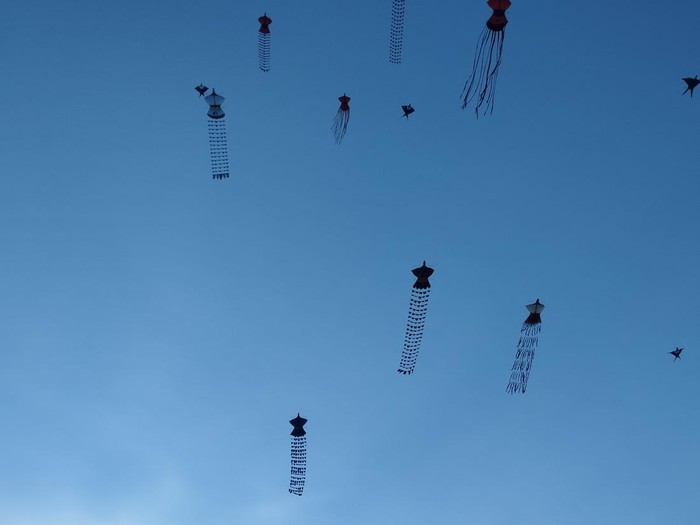 Peserta Rare Angon Festival 2025 menerbangkan layangan janggan merak (layangan menyerupai merak) di Pantai Mertasari, Jumat (1/8/2025). Salah satu layangan tersebut menggunakan bahan organik seperti dedaunan.