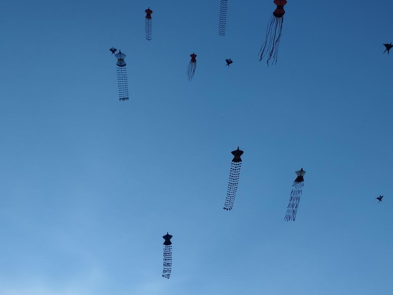 Peserta Rare Angon Festival 2025 menerbangkan layangan janggan merak (layangan menyerupai merak) di Pantai Mertasari, Jumat (1/8/2025). Salah satu layangan tersebut menggunakan bahan organik seperti dedaunan.