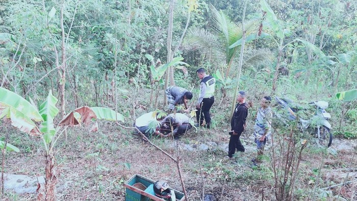 Petugas saat mendatangi korban kecelakaan yang masuk ke jurang akibat mengantuk di bawah Bukit Bego, Kedungbuweng, Wukirsari, Imogiri, Bantul.