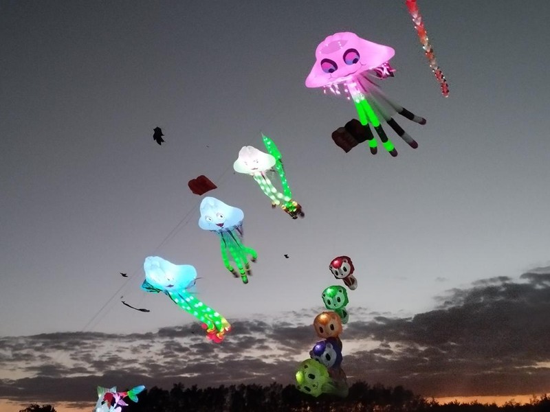 Layang-layang beragam karakter terbang saat Rare Angon Festival 2025 di Pantai Mertasari, Jumat (1/8/2025). Layangan tersebut dilengkapi lampu berwarna sehingga nampak terang meski terbang malam.