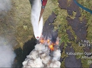 7 Daerah Sumsel Zona Merah Karhutla, Pemda Diminta Tingkatkan Kewaspadaan