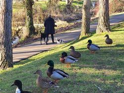 12 Foto Hewan Lucu dan Absurd yang Ada di Internet, Udah Lihat Belum?