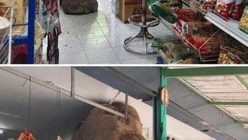 Disuruh belanja sama istrinya kayaknya dia. Foto: Bored Panda