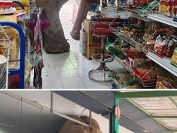 12 Foto Hewan Lucu dan Absurd yang Ada di Internet, Udah Lihat Belum?