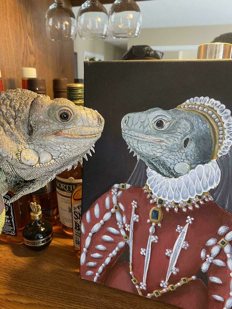 Coba deh lihat sederet foto hewan lucu nan absurd ini. Siapa tau bisa membuat harimu lebih ceria lagi.