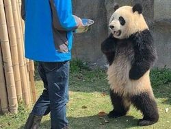 12 Foto Hewan Lucu dan Absurd yang Ada di Internet, Udah Lihat Belum?