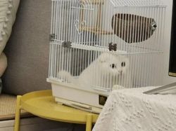 12 Foto Hewan Lucu dan Absurd yang Ada di Internet, Udah Lihat Belum?